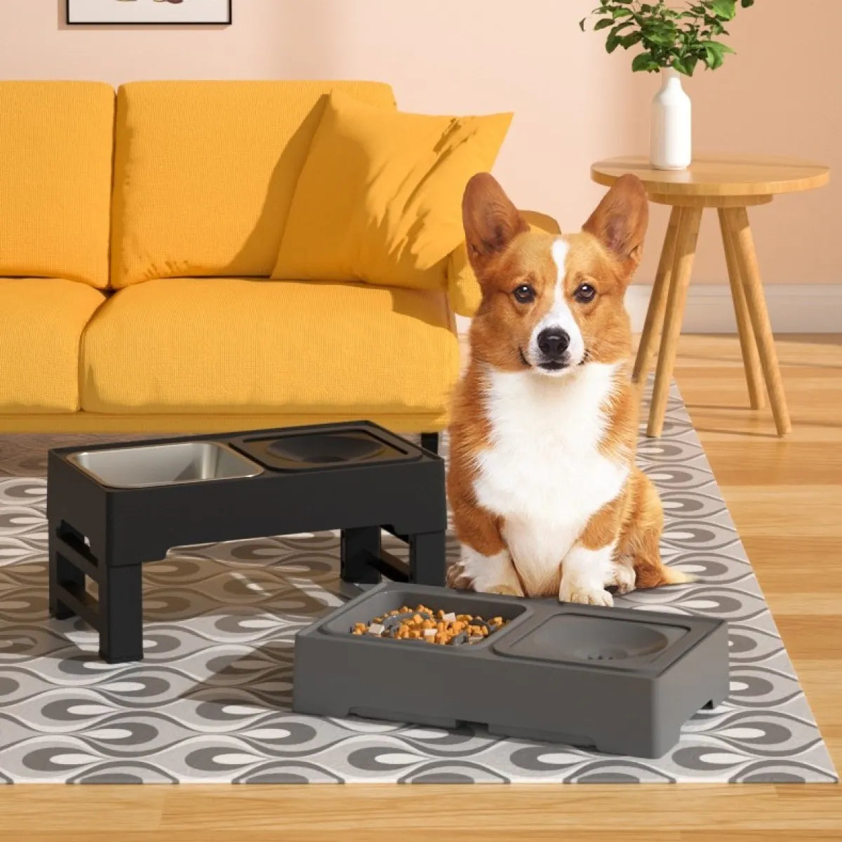 Efficient Pet Feeders